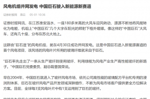 时报：风电机组并网发电 中国88858cc永利驶入新能源新赛道